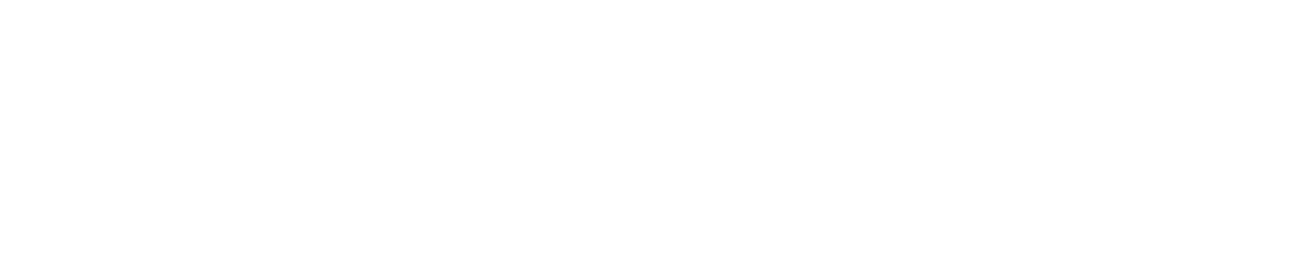 300PPI